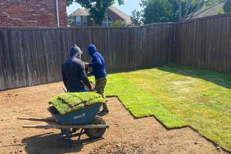 Sod Installation Project near Burleson