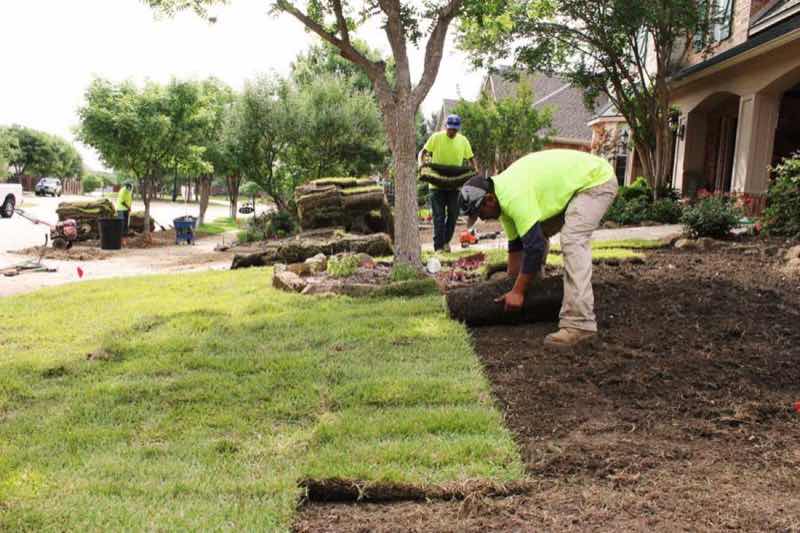 Sod Installation Project near DeSoto