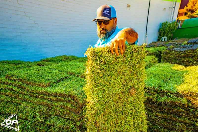 {SERVICE_NAME} project in Mansfield