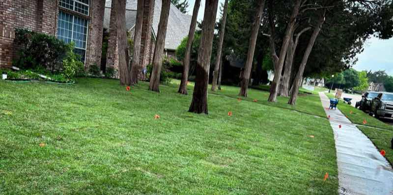 {SERVICE_NAME} project in Mansfield