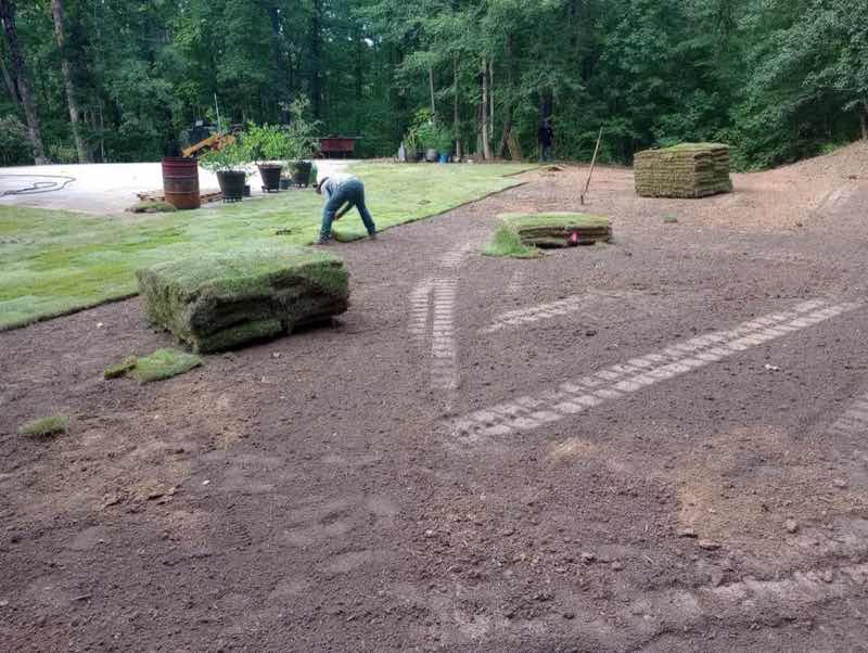 Sod Installation Project near Arlington